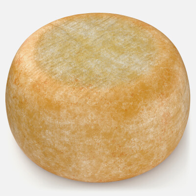 Traditional Dairy Cheese Wheel