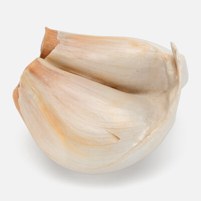 Twin Garlic Clove
