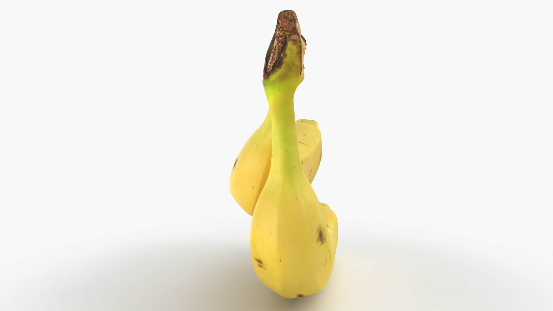 Two Fresh Yellow Bananas 3D Model