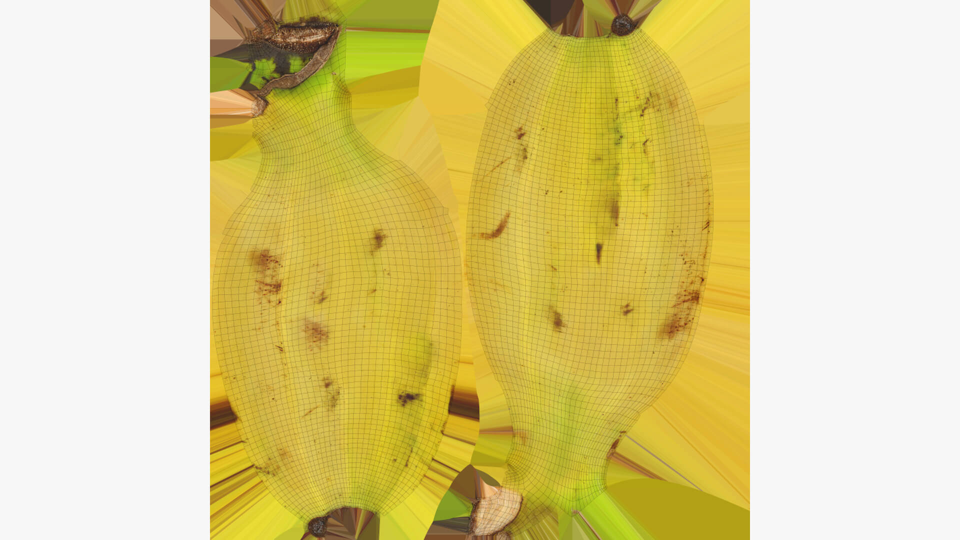 Two Fresh Yellow Bananas 3D Model