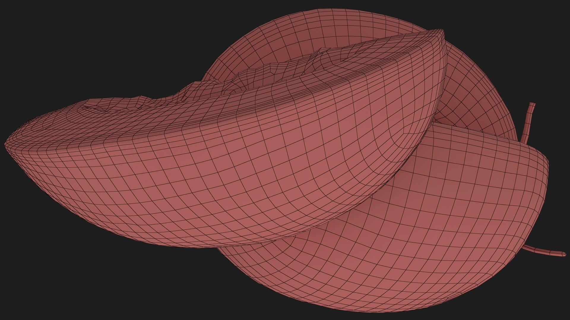 Two Sliced Golden Cantaloupe 3D Model