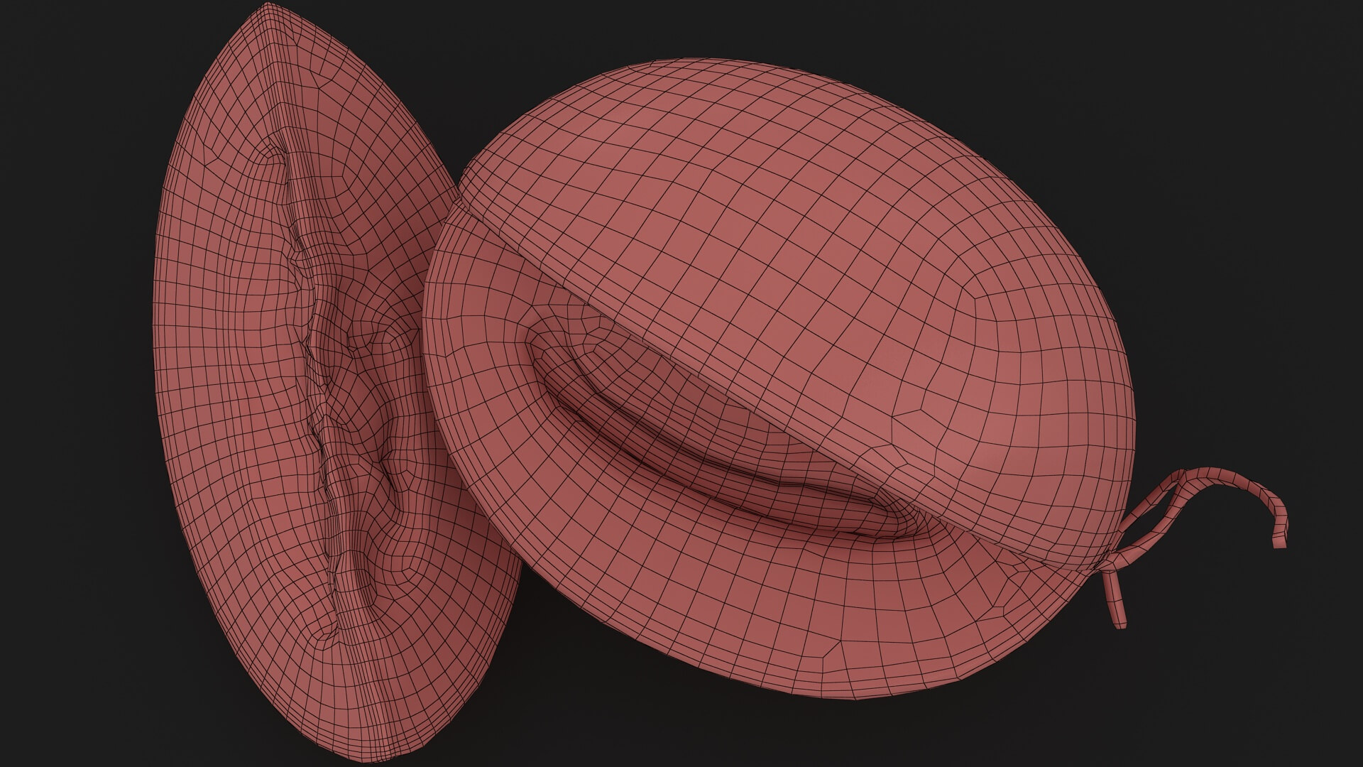 Two Sliced Golden Cantaloupe 3D Model