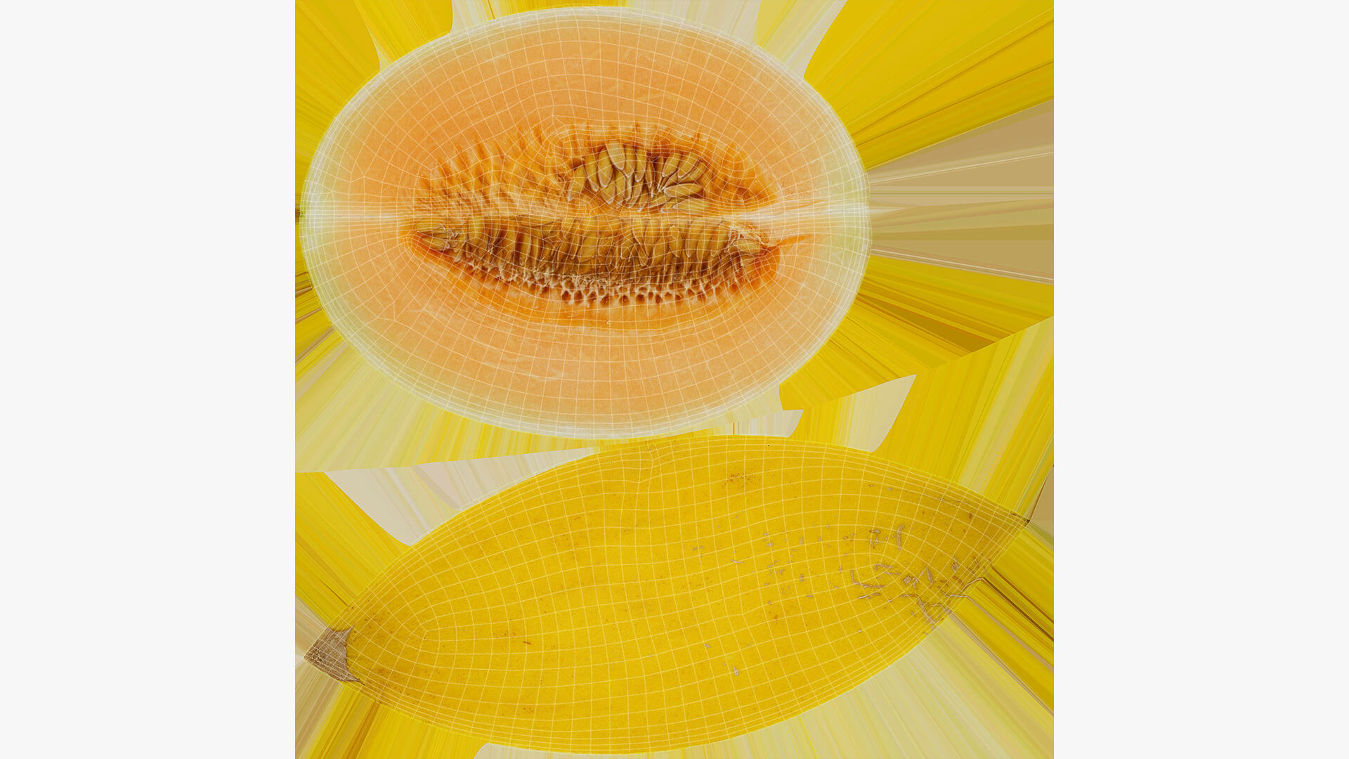 Two Sliced Golden Cantaloupe 3D Model