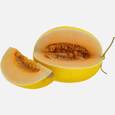 Two Sliced Golden Cantaloupe