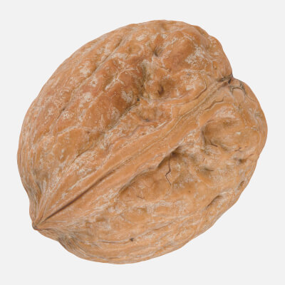 Walnut Shell