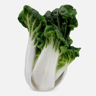 White Bok Choy 01