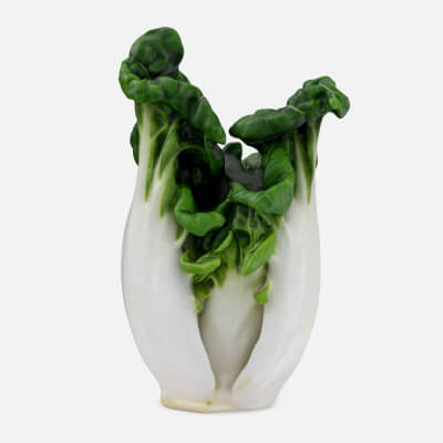 White Bok Choy 03
