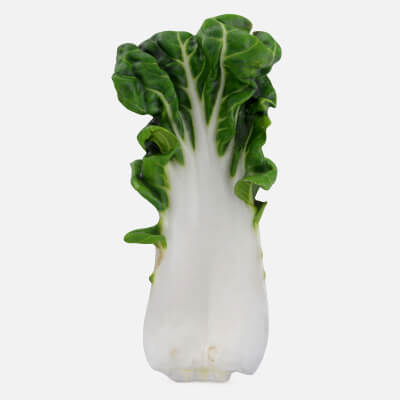 White Bok Choy Leaf 01