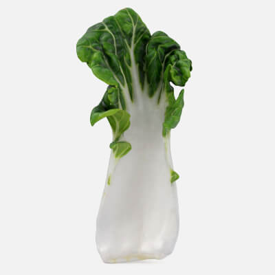 White Bok Choy Leaf 02