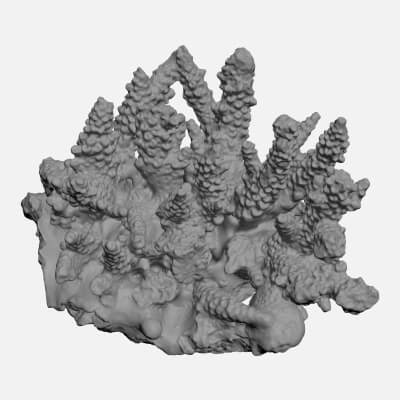 White Coral Reef 01 - For 3D Print