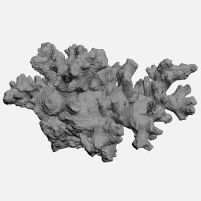 White Coral Reef 02 - For 3D Print