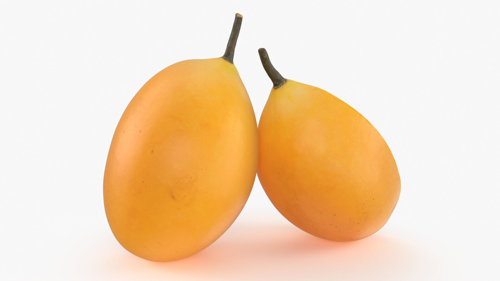 Whole and Half Marian Plum 3D Model