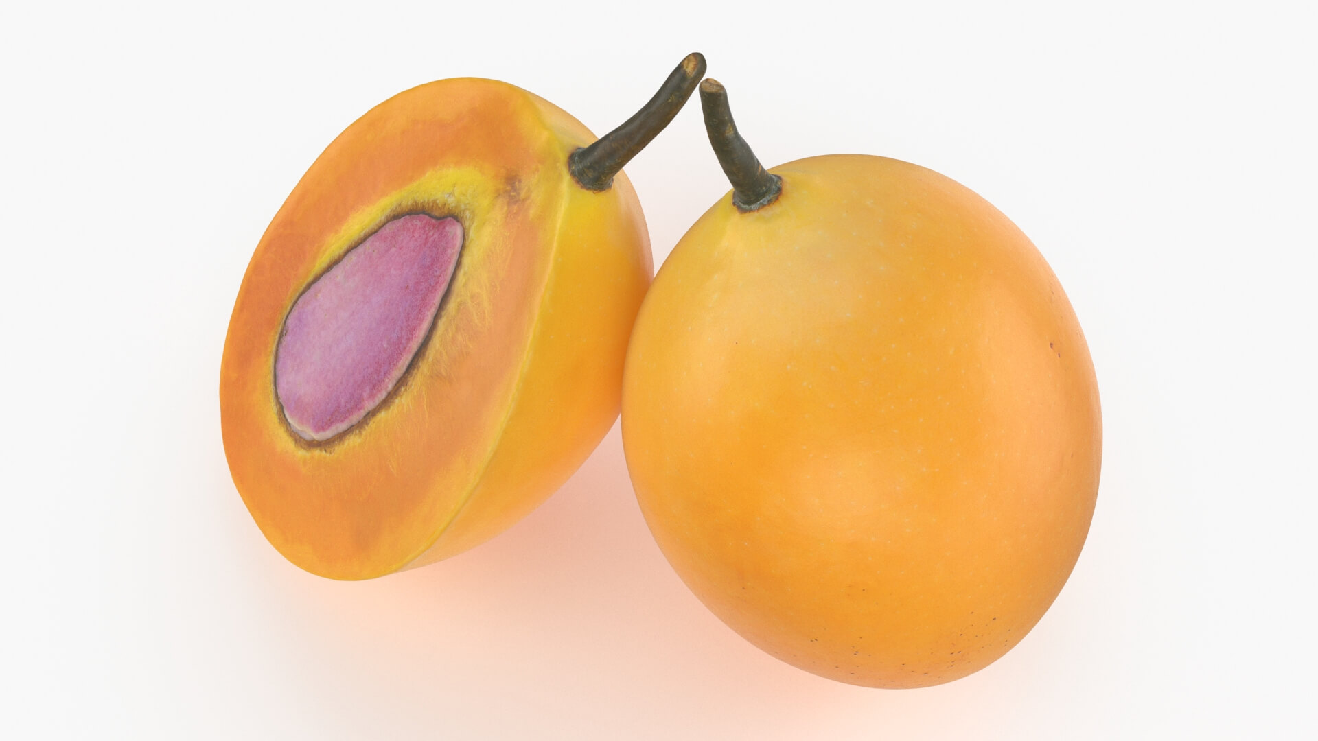 Whole and Half Marian Plum 3D Model