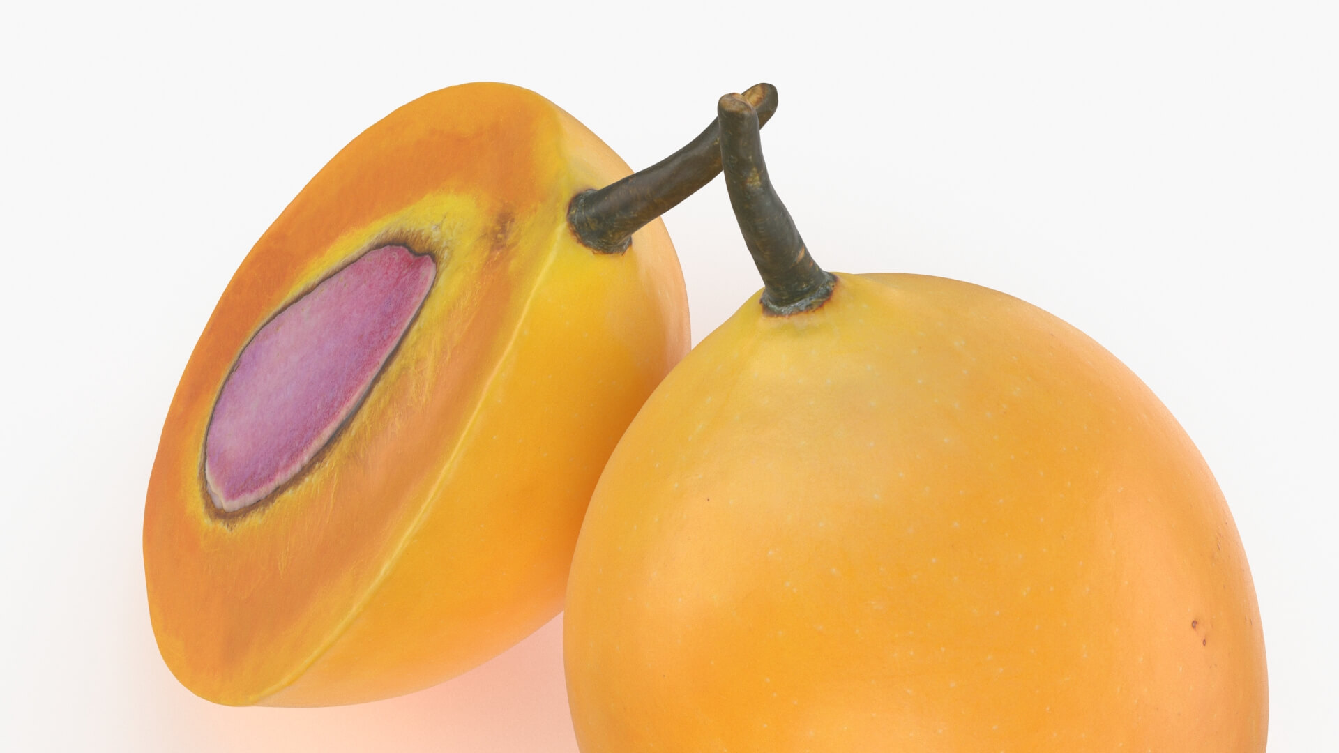 Whole and Half Marian Plum 3D Model