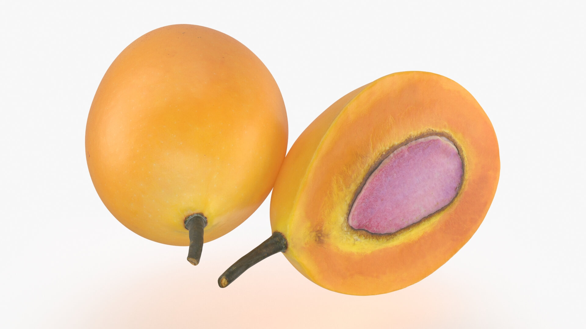 Whole and Half Marian Plum 3D Model