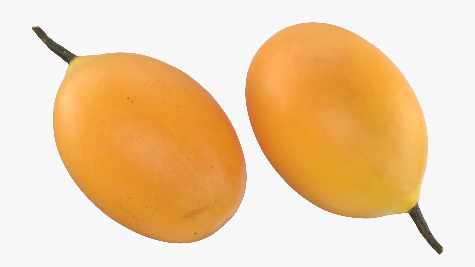 Whole and Half Marian Plum 3D Model