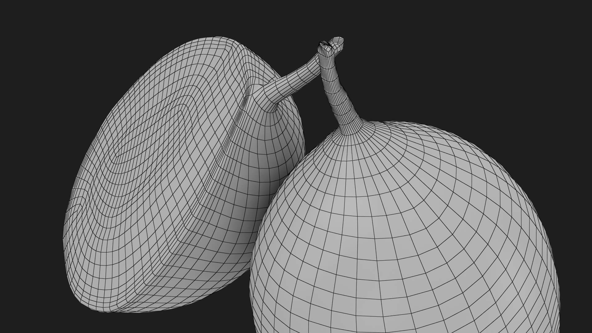 Whole and Half Marian Plum 3D Model
