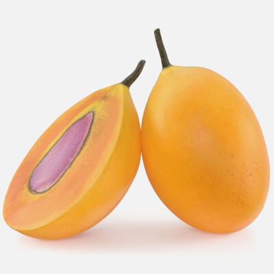 Whole and Half Marian Plum