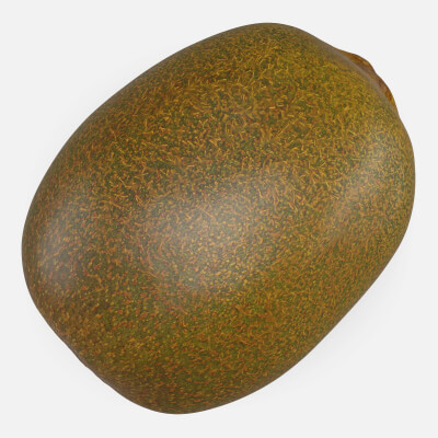 Realistic Whole Kiwi