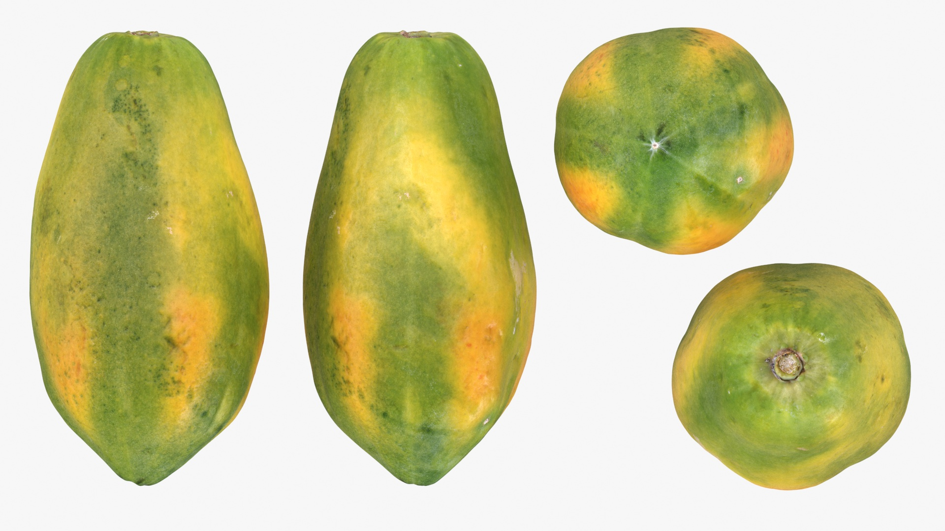 Whole Papaya 3D Model