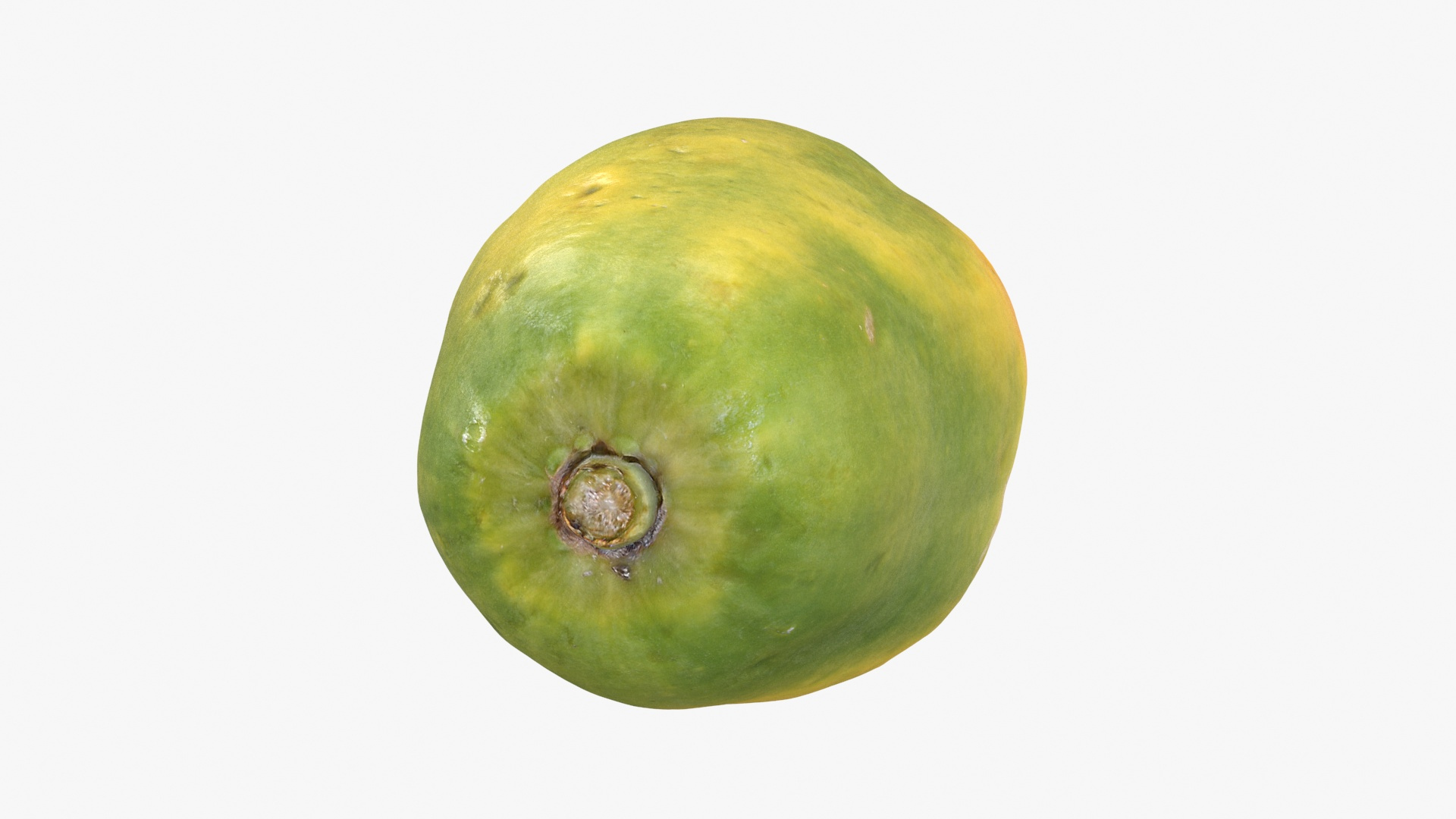 Whole Papaya 3D Model