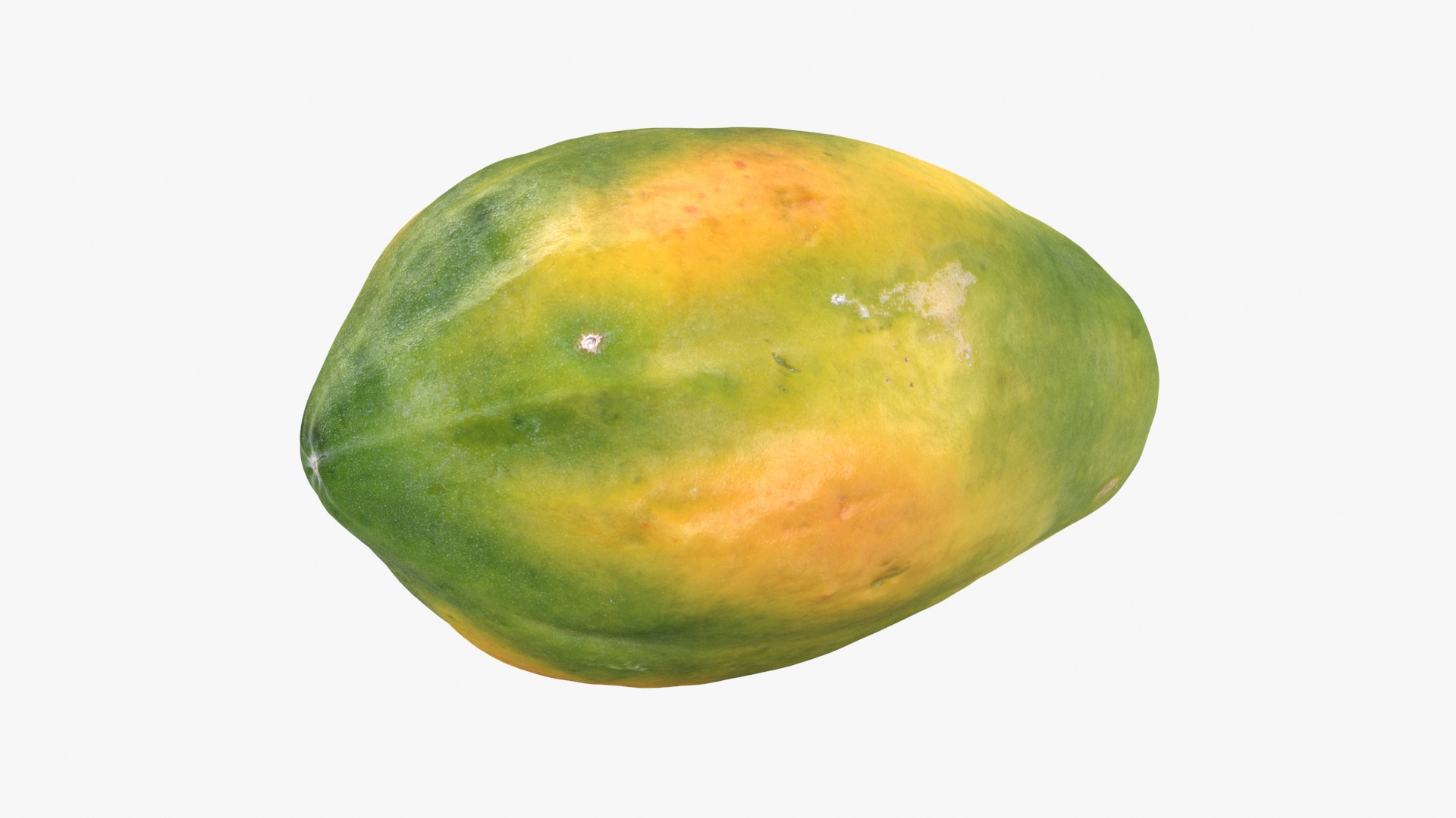 Whole Papaya 3D Model