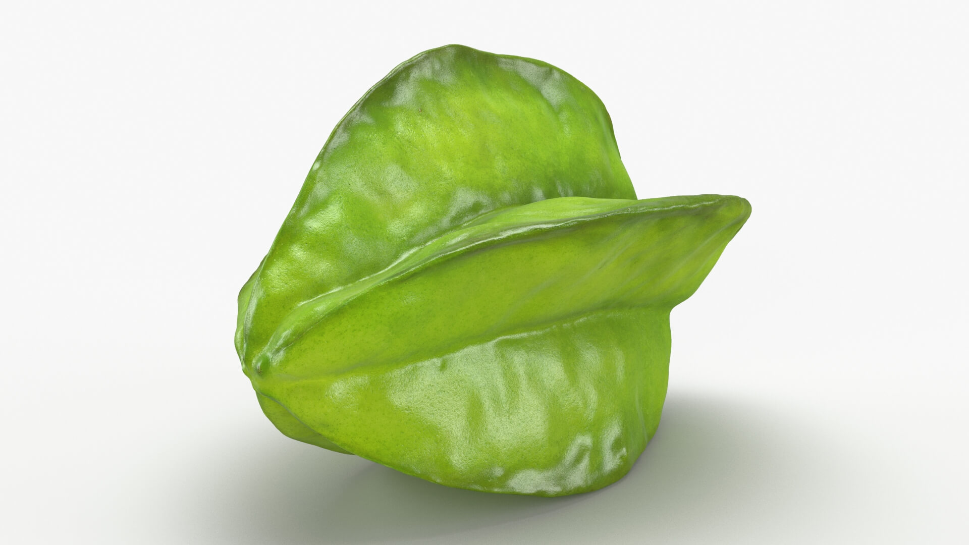 Whole Star Fruit 3D Model