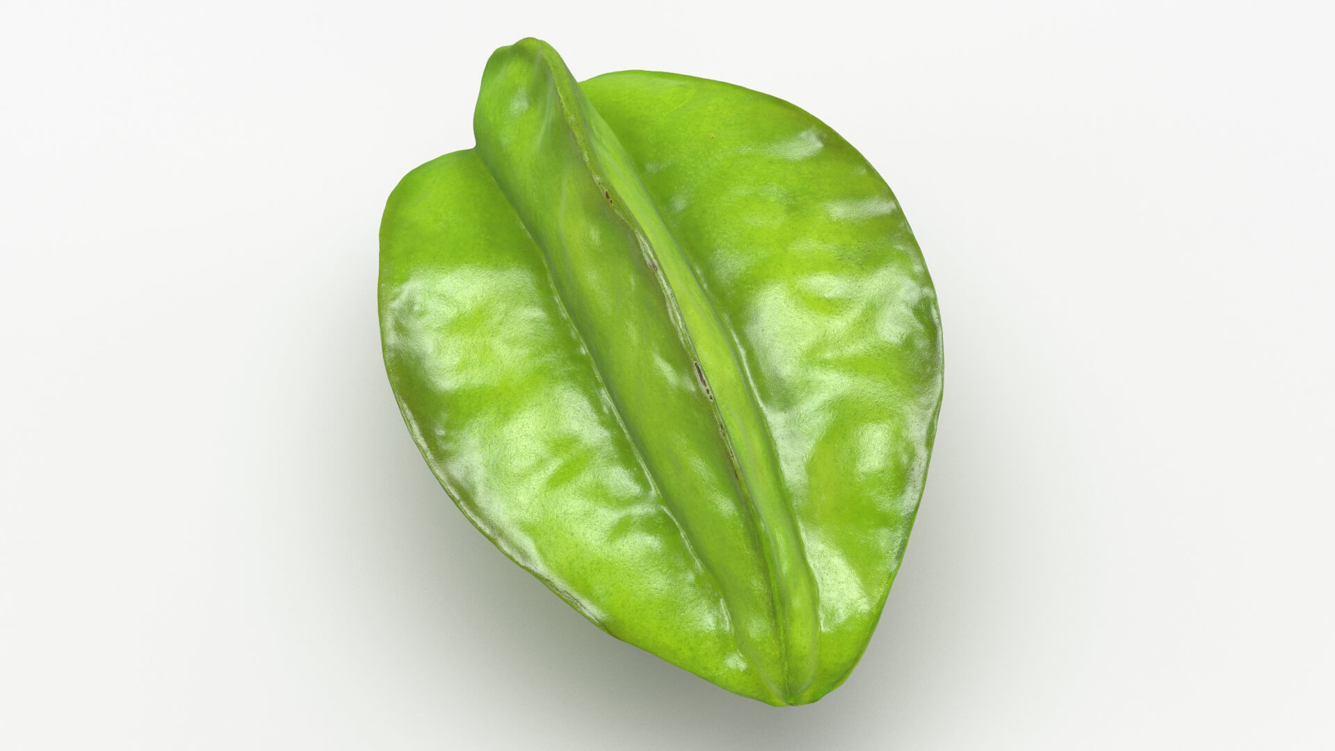 Whole Star Fruit 3D Model