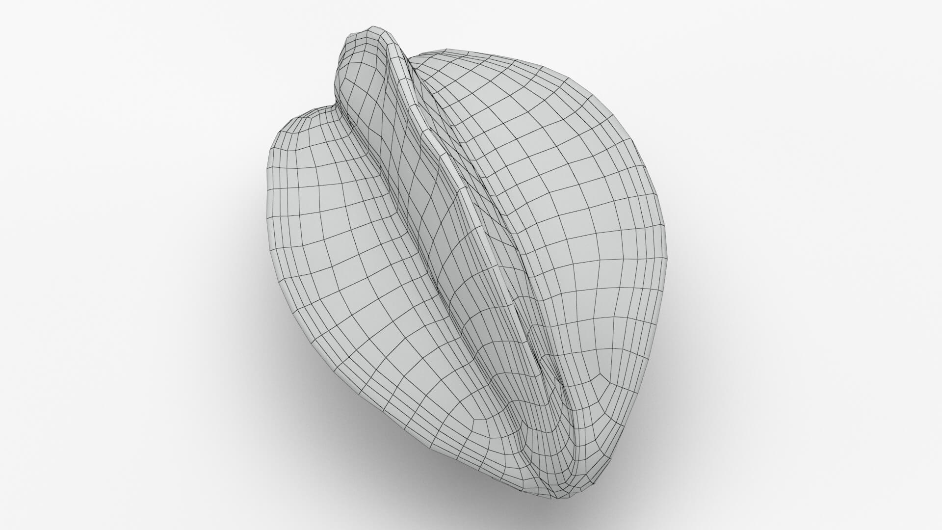 Whole Star Fruit 3D Model