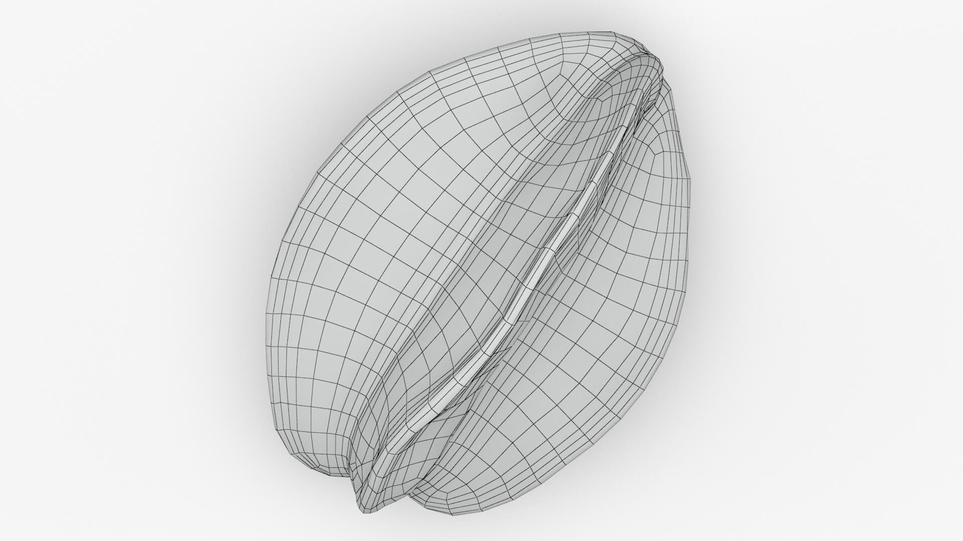 Whole Star Fruit 3D Model