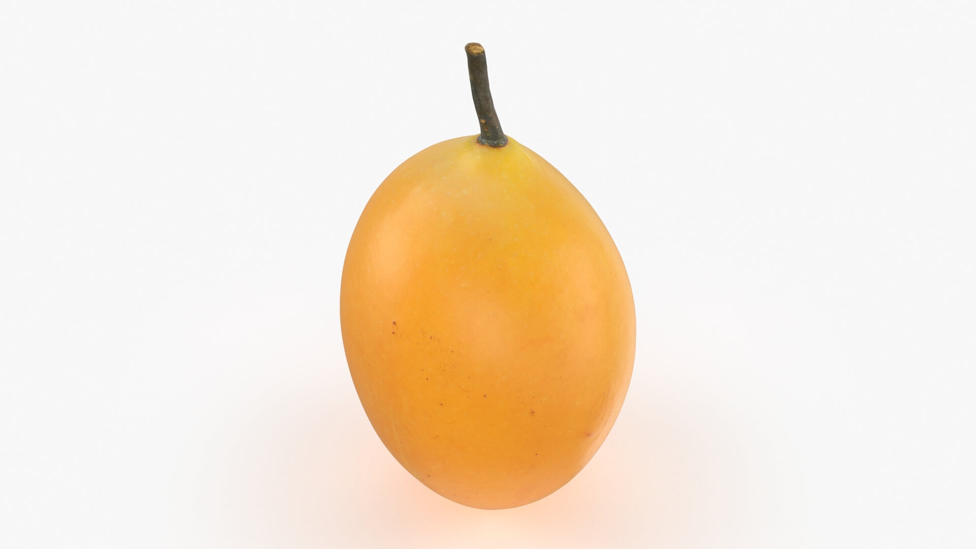 Whole Sweet Marian Plum 3D Model