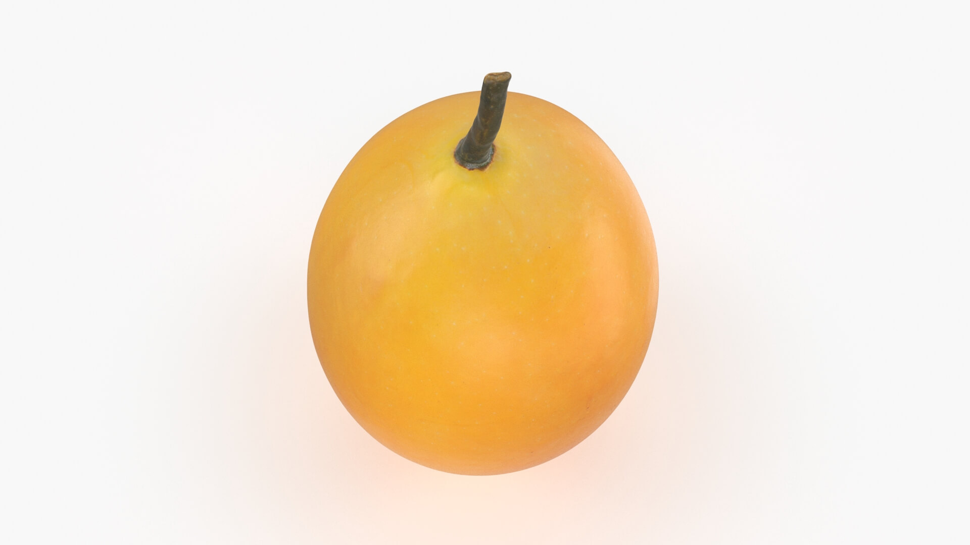 Whole Sweet Marian Plum 3D Model
