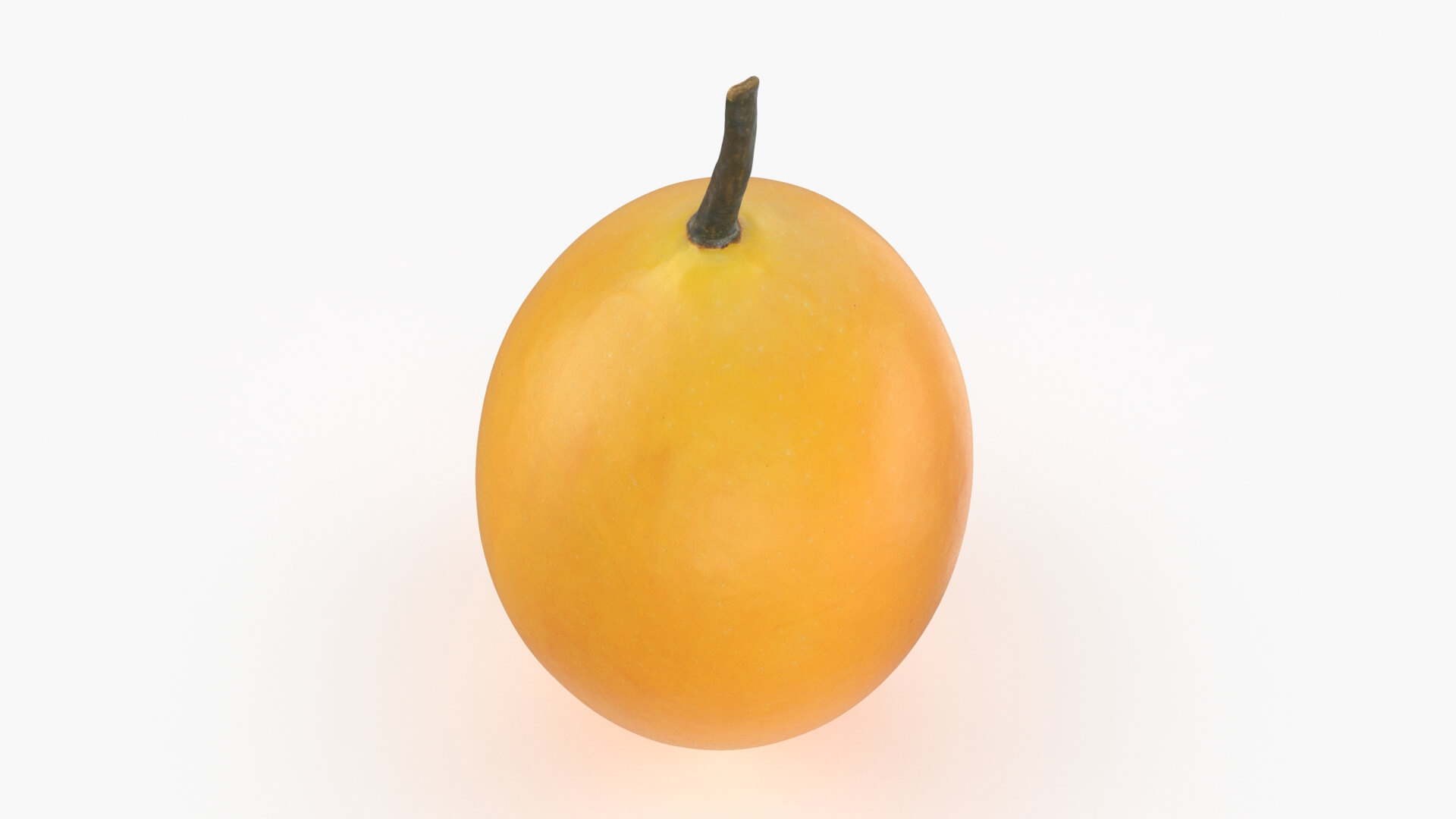 Whole Sweet Marian Plum 3D Model