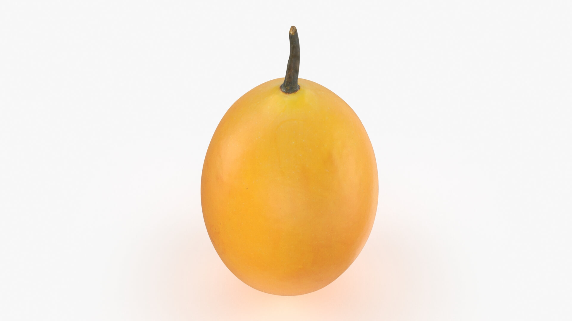 Whole Sweet Marian Plum 3D Model