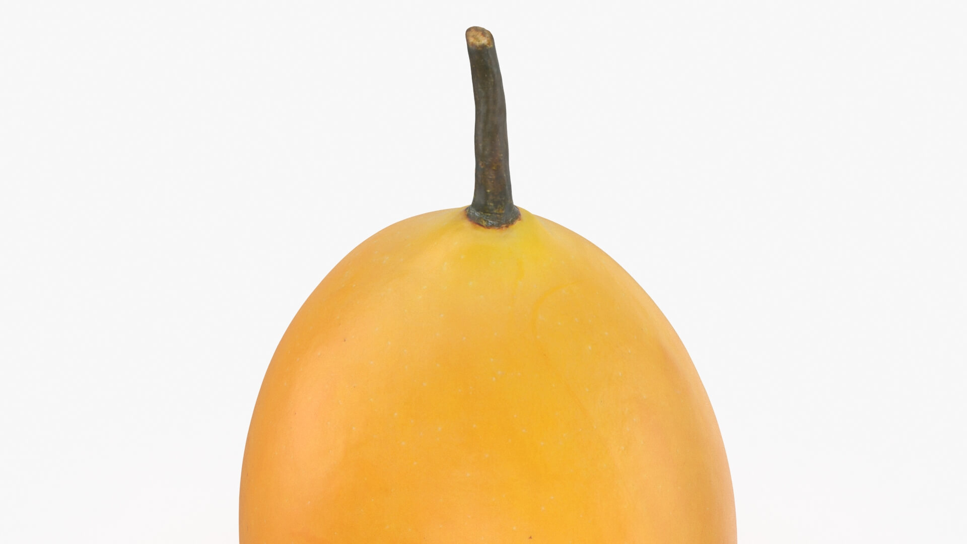 Whole Sweet Marian Plum 3D Model