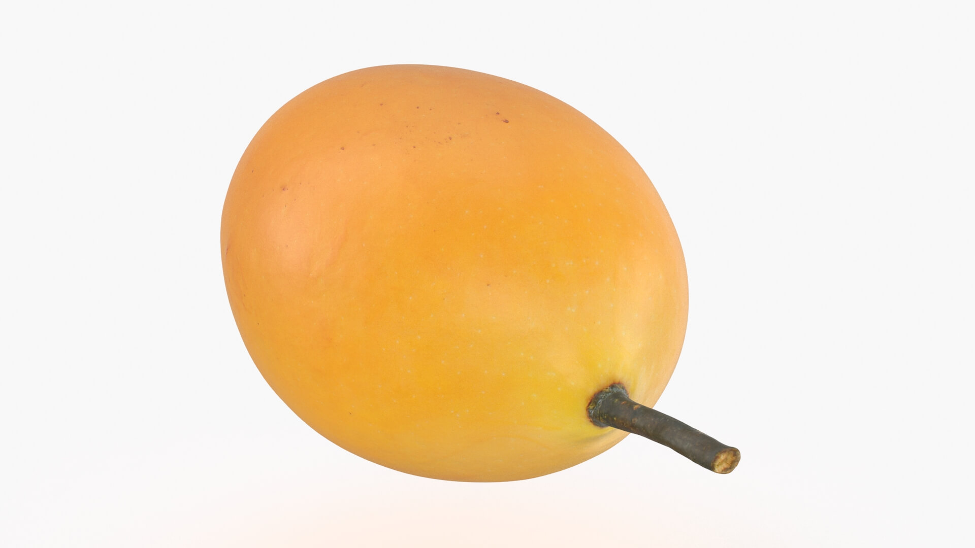 Whole Sweet Marian Plum 3D Model