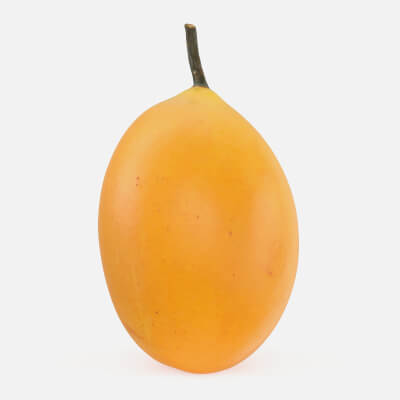 Whole Sweet Marian Plum