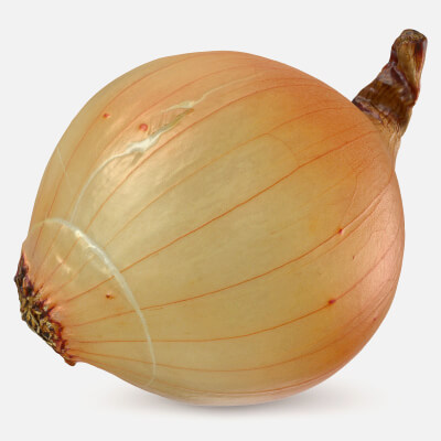 Yellow Onion 01