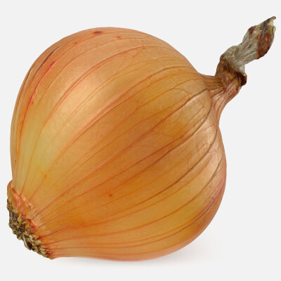 Yellow Onion 03 3D Model