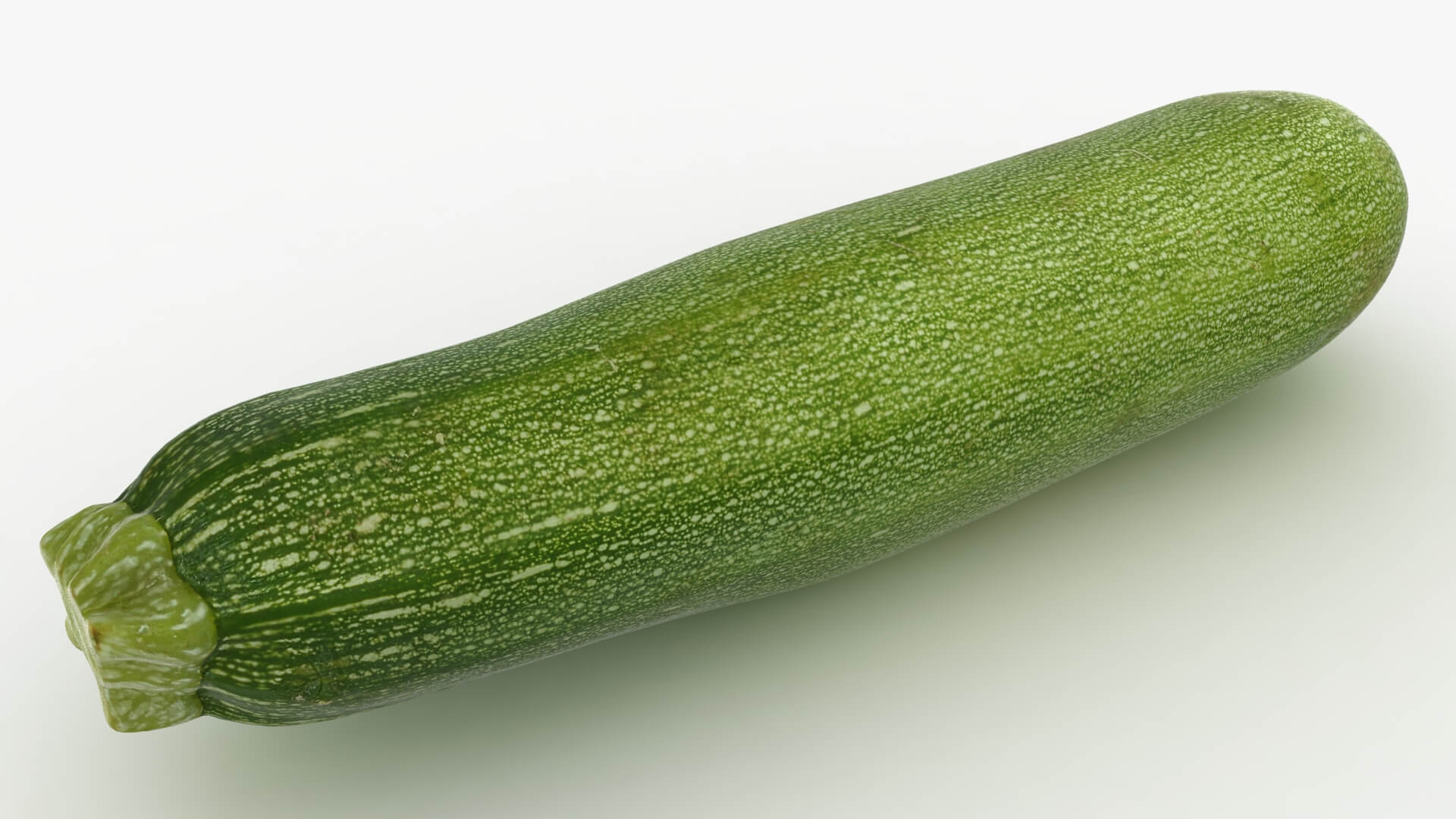 Realistic Zucchini 02 3D Model