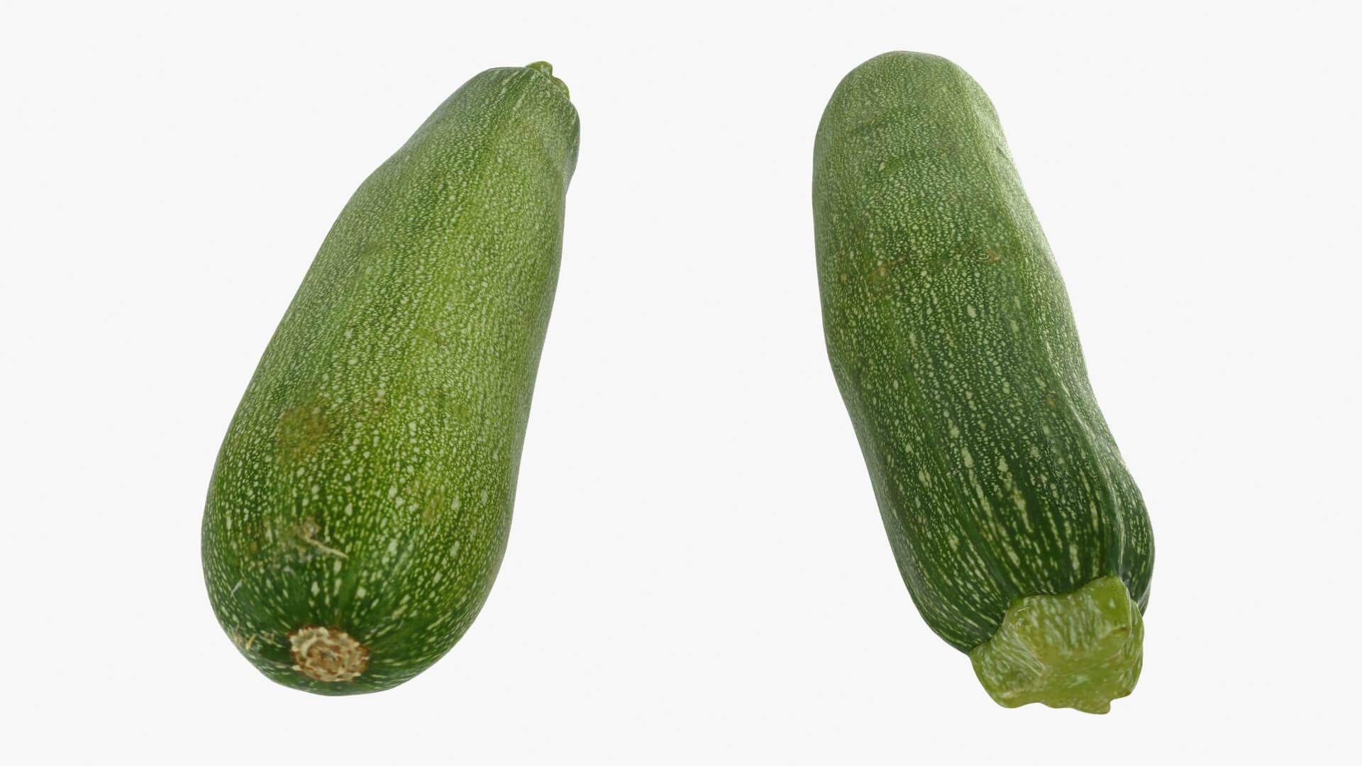 Realistic Zucchini 02 3D Model