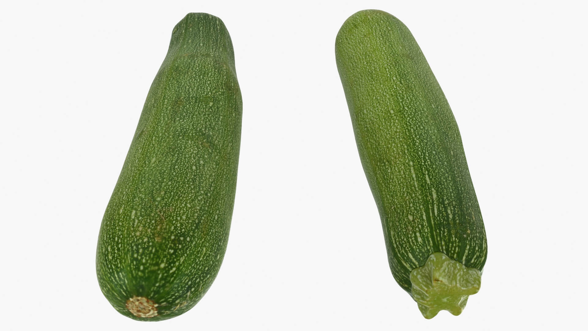 Realistic Zucchini 02 3D Model