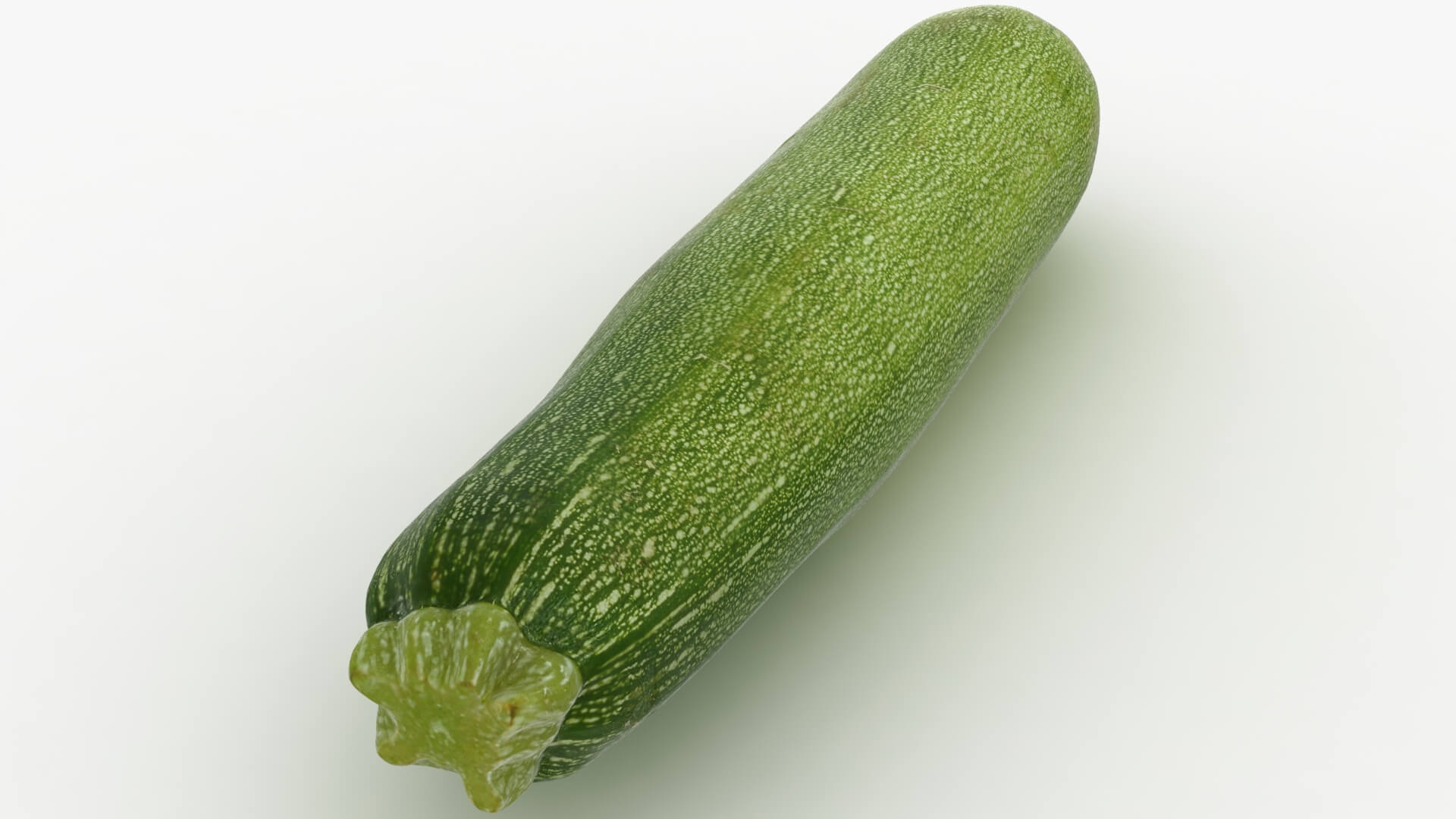 Realistic Zucchini 02 3D Model