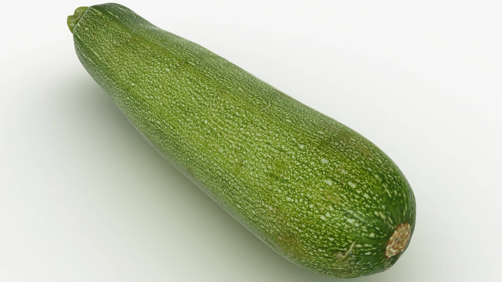 Realistic Zucchini 02 3D Model