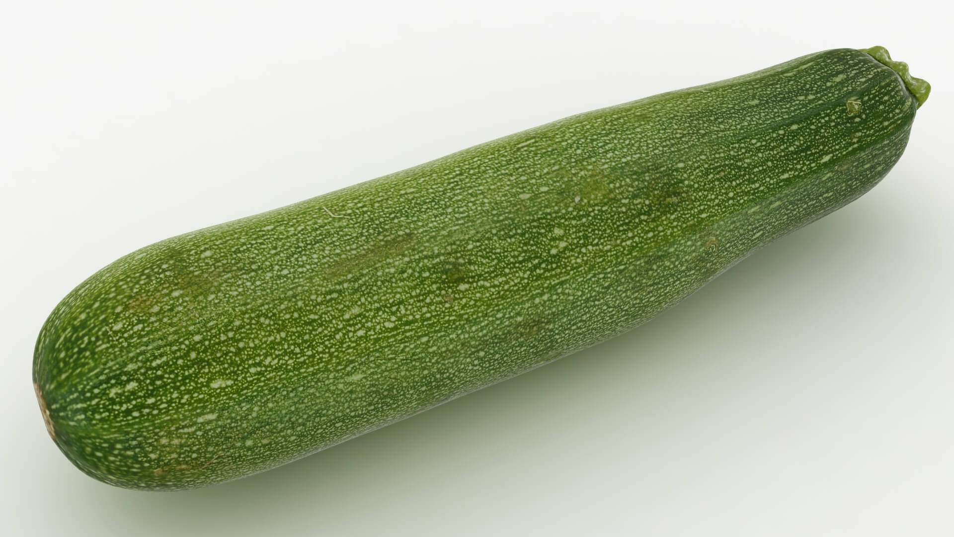 Realistic Zucchini 02 3D Model