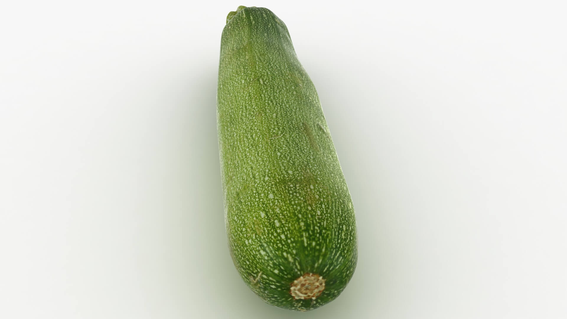 Realistic Zucchini 02 3D Model
