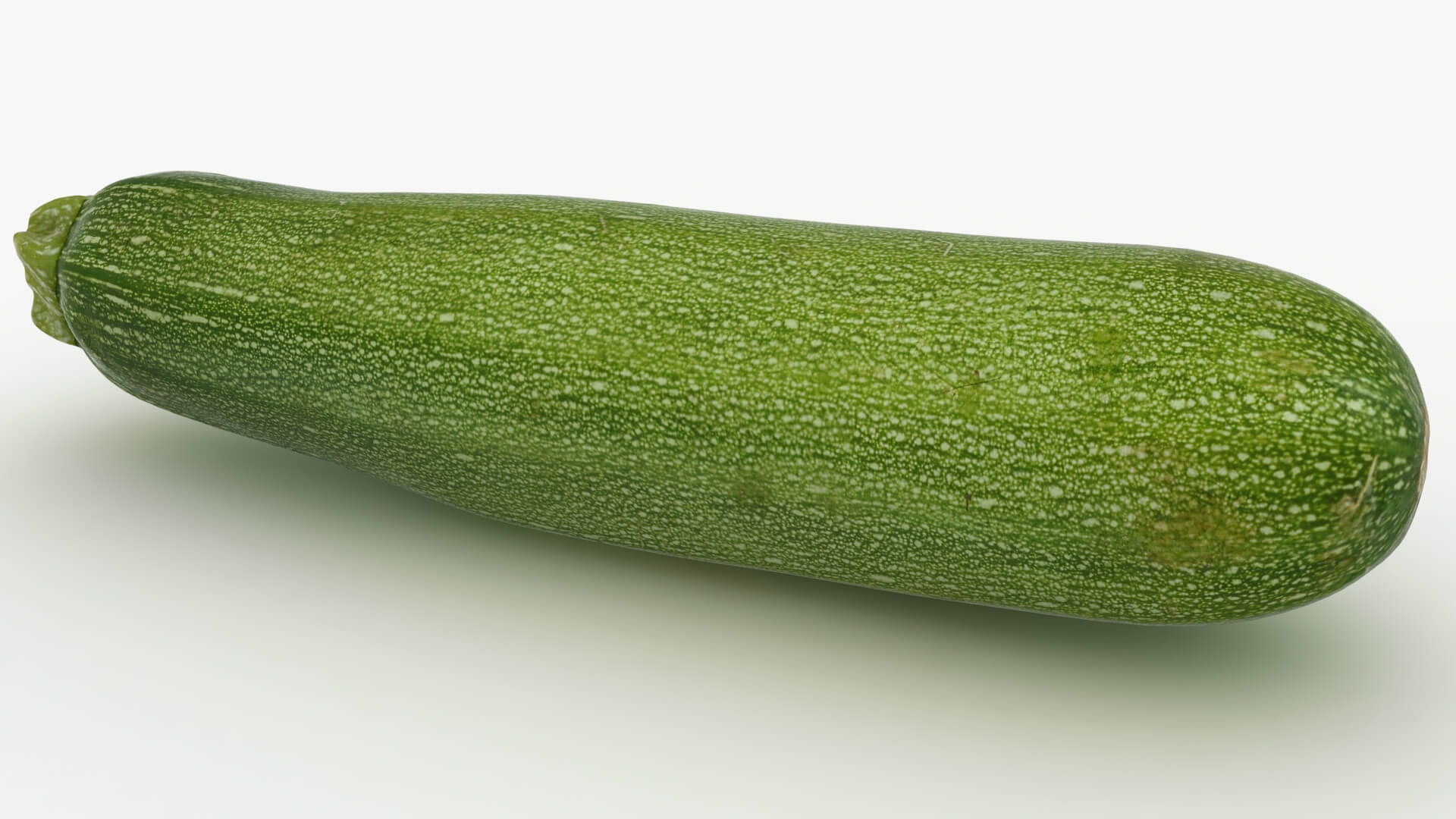 Realistic Zucchini 02 3D Model