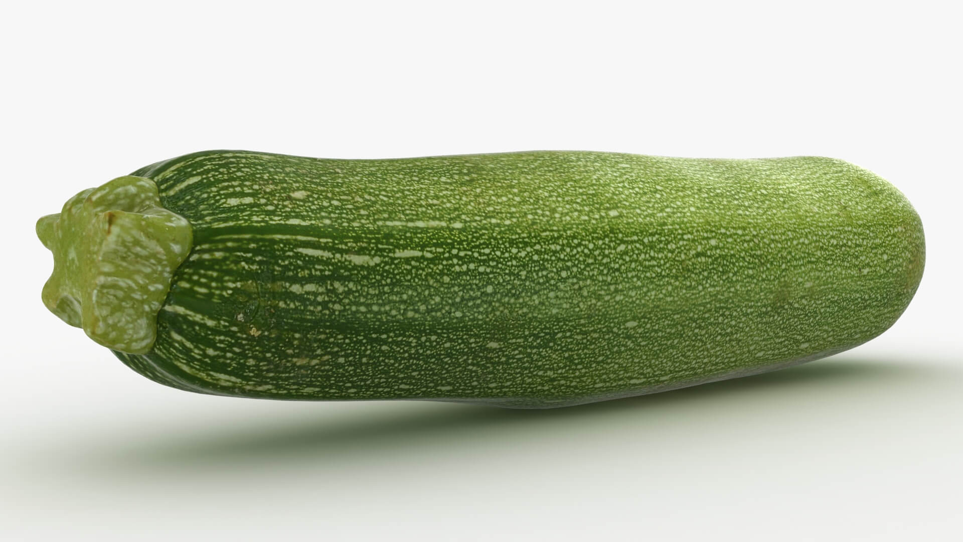 Realistic Zucchini 02 3D Model