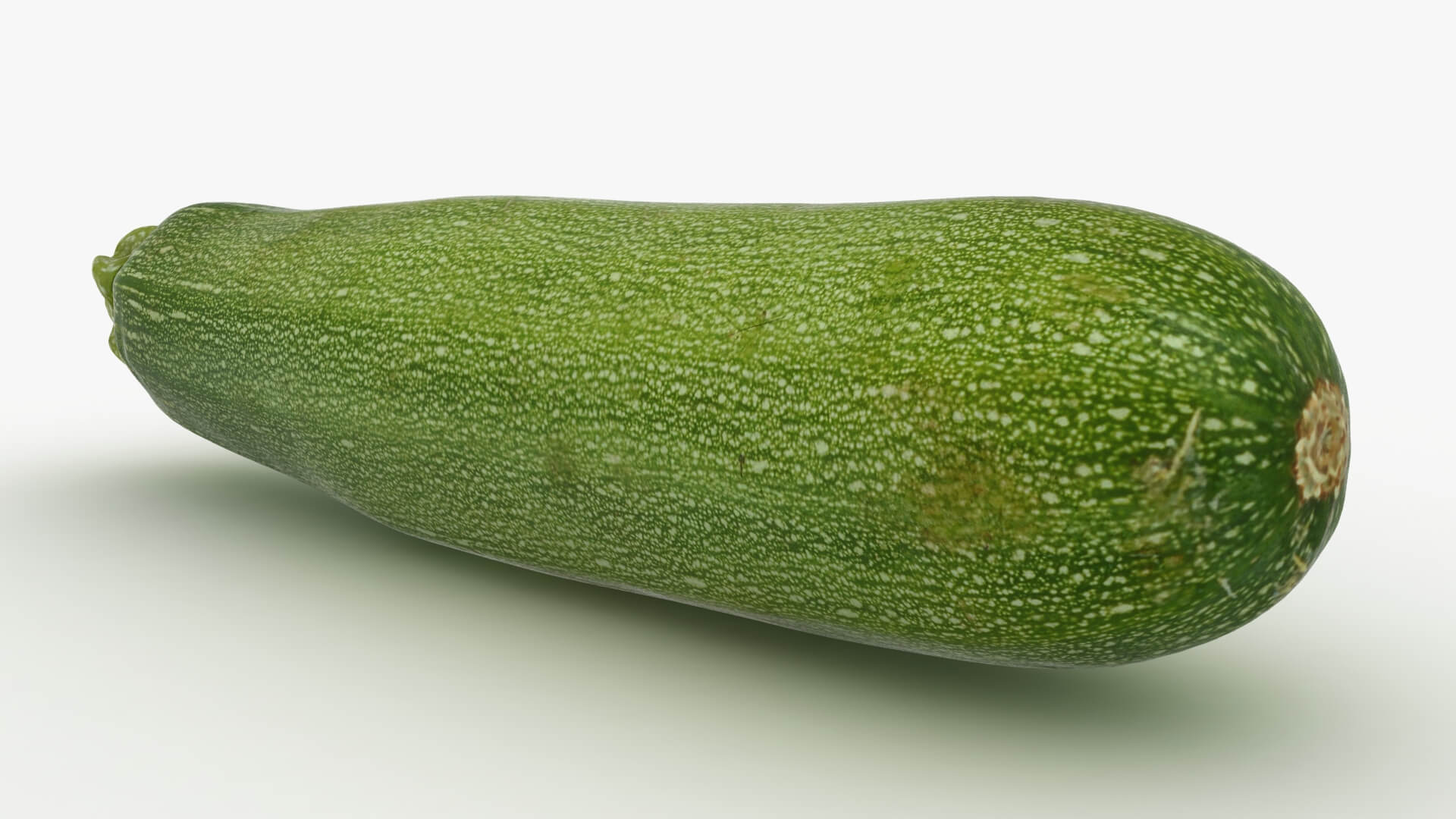Realistic Zucchini 02 3D Model