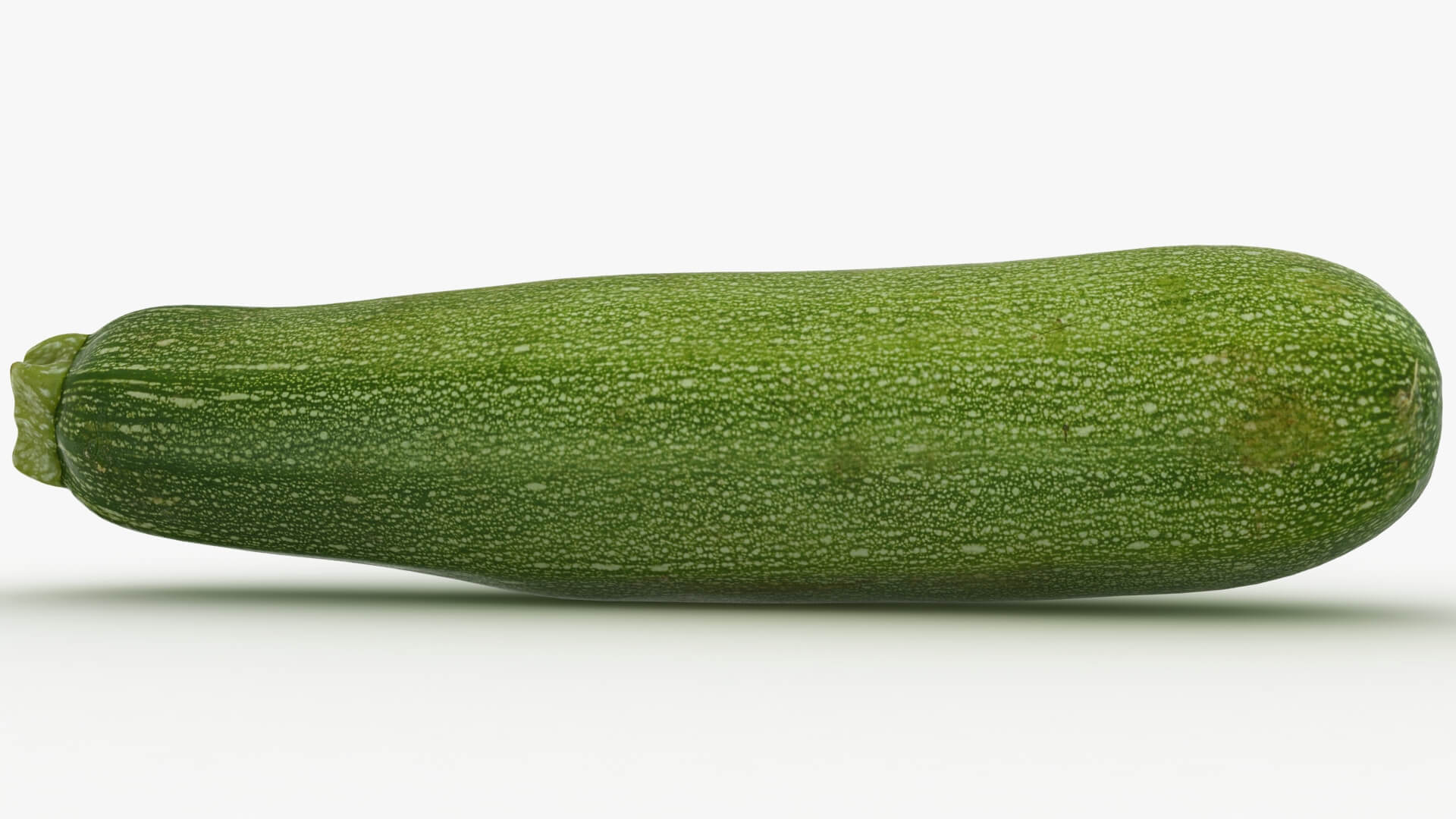 Realistic Zucchini 02 3D Model